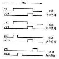 操作条件反射